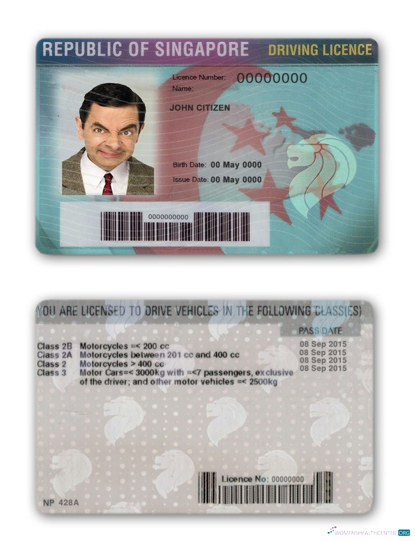 download Singapore driving license